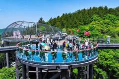 21℃清凉秘境成避暑热选 四川达州月亮坪凭高森林覆盖率登顶清凉四川首批康养目的地