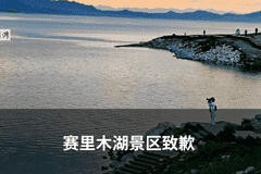 官方：查办“最忙五人组”相关违法案件4件，罚款17万元