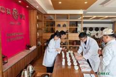 中茶云南启动广东仓二次专项审评 首度推出季度动态比对解锁普洱茶陈化研究新突破