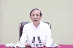 7月杭州电力行业会议后，原国家电网董事长辛保安被查 退休逾两年涉严重违纪违法接受审查调查