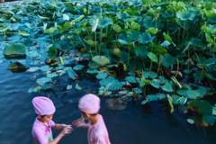 苦竹溪南岸叠水公园水质升级III类 300米智能戏水场成夏日亲子新去处