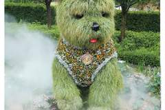 “潦草小狗”+“复兴岛猫”双IP 拉动上海宠物消费与城市打卡热潮