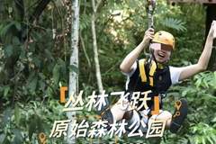 有游客称西双版纳原始森林公园丛林飞跃项目绳索断裂，项目已暂停，当地：在全力处理