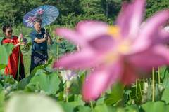 云南入境游暑期热度拉满 99万海外游客赴滇享清凉度假