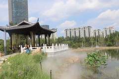 长春植物园打造纳凉新场景 清凉游园升级游客体验