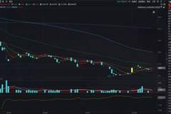 给予“增持”评级后，被国泰海通看好的“龙头”股价“腰斩”