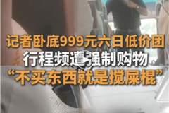 云南通报:拟吊销多家旅行社、导游证照