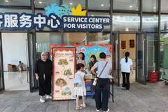 不用全程盯手机、趣味性增强,剧本游“龙岗大陆”体验升级