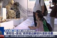 “追剧+看展”成暑期文旅新潮流 跨界联动解锁科普新场景