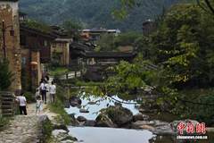 （活力中国调研行）福建古村新潮：喝老祖宗的酒，走年轻人的路