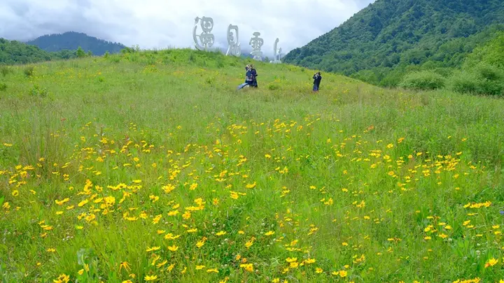 四川石棉:摄影基地百花开,避暑拍照两相宜!