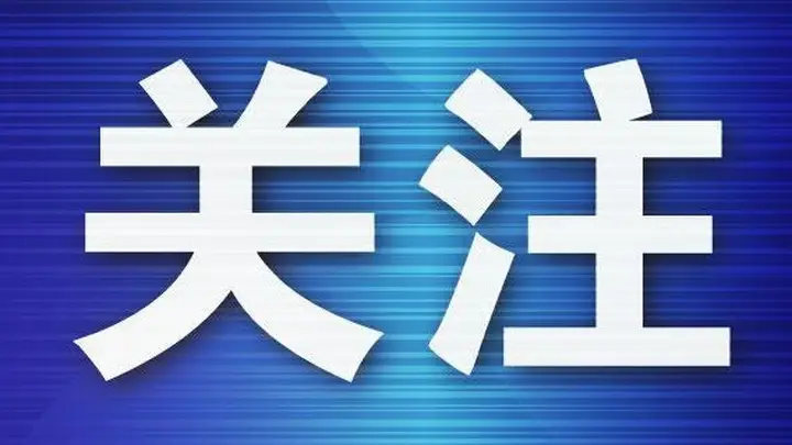 男子因迟到谎称航班有炸弹,致5架航班延误被判刑