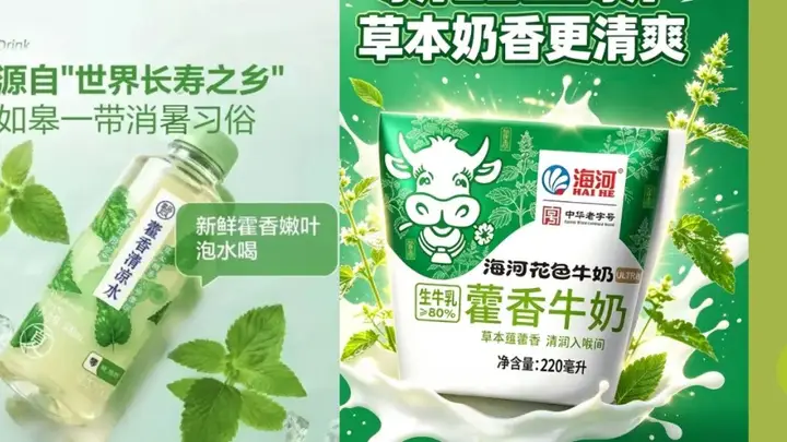藿香牛奶、藿香水接连走红,食药同源新原料“邪门”但有效