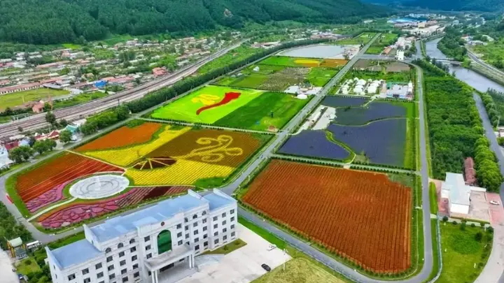 小兴安岭朗乡花海太亮眼 来这赏绿意还能寻地道东北风味