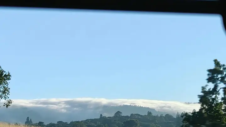 横跨加州西海岸的自然美景：从洛杉矶到旧金山之旅