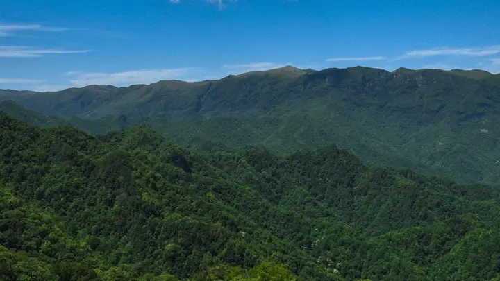 22℃紫柏山，小白友好的夏日徒步胜地