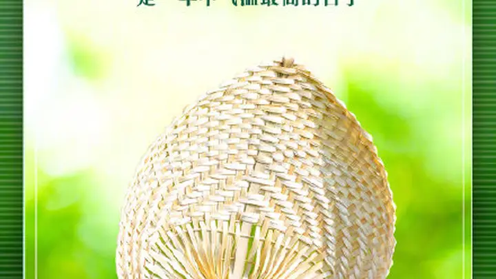 有地方头伏吃饺子,有地方吃馄饨火腿,你准备吃什么?