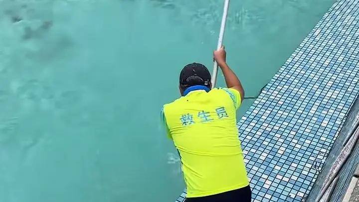 广东景区泳池惊现游蛇 目击者称户外常见 景区回应无毒蛇已处理