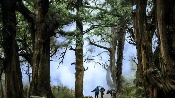 古道新途:绵阳公路串联山水画卷,绘就交通人文新篇章