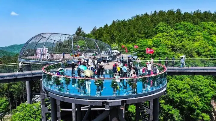 21℃清凉秘境成避暑热选 四川达州月亮坪凭高森林覆盖率登顶清凉四川首批康养目的地