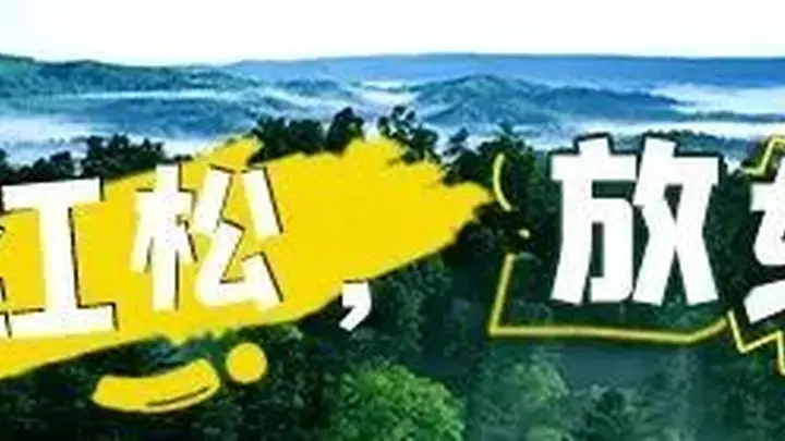 伊春夏季旅游价格监管加码 市监局发布多领域经营价格提醒告诫