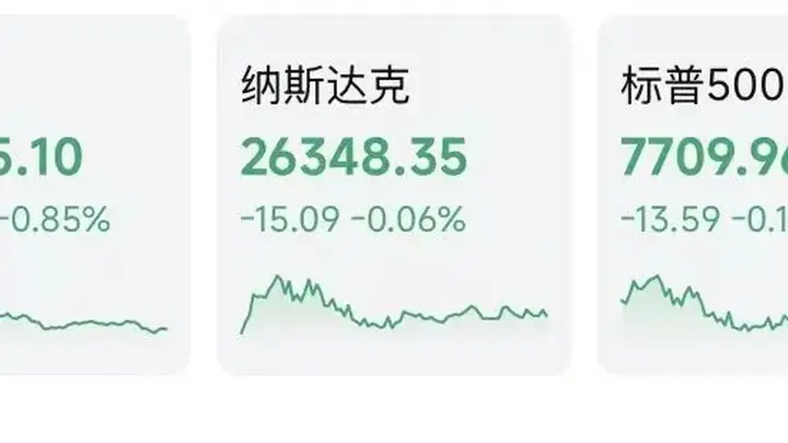 美股存储芯片巨头上演暴跌潮 西部数据闪迪绩后跳水引板块承压