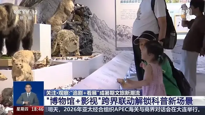 “追剧+看展”成暑期文旅新潮流 跨界联动解锁科普新场景