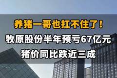【养猪一哥也扛不住了!牧原股份半年亏掉67亿元,猪价同比跌近三成】