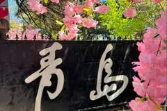 7-8月暑期青岛全攻略：一次讲透怎么玩才尽兴