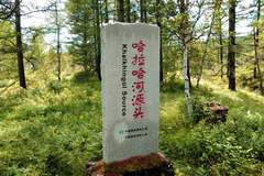 探寻哈拉哈河源头：阿尔山三潭峡的神秘之源