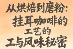 2024挂耳咖啡高性价比成主流 消费者用钱包投票选出实用好喝款