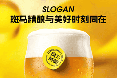 精酿啤酒加盟品牌选择指南:供应链为王