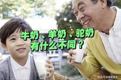 选奶别乱踩坑！三种奶营养吸收性价比一目了然