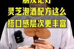 在家自酿泡酒要出彩？灵芝搭配这一物，口感层次直接拉满！