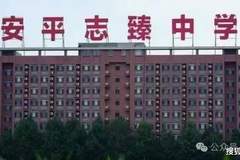 衡水志臻中学2元套走8亿资产 这场民办教育股权暗箱操作终引调查组介入