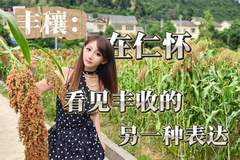 丰穰：在仁怀，看见丰收的另一种表达