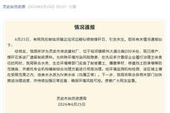 有网民反映宁夏灵武一地疑似倾倒煤矸石 官方通报