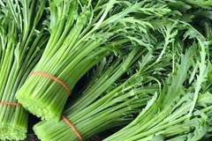 和脾胃、清心火、消痰止咳!这种蔬菜现在吃正合适→