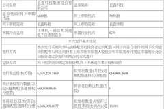 长鑫科技集团股份有限公司首次公开发行股票并在科创板上市招股意向书提示性公告