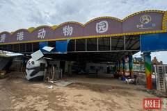 贵港动物园被淹后只剩寥寥几只动物，园方回应“锁死笼舍致3狮溺亡”争议：村落密集怕它们逃出伤人，辛苦养大我们也舍不得