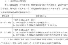 亚信安全两大激励方案未达预期,公司回应:阶段性调整不影响公司未来战略定力