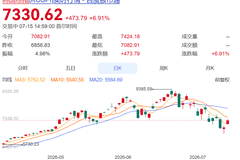 韩国股市“走极端”引发刑案：一20多岁股民持刀刺伤网红股票博主！警方：嫌犯听信博主建议，加杠杆重仓SK海力士却遭巨亏