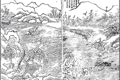 《滁阳十五景谈》(七)菱溪夜雨——周惟熙