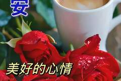 “早起三光,晚起三慌”,今早的暖心话送给最在乎的你