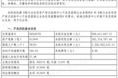 杭银消金转让12亿元不良贷款,41万笔纯信用债权全部为损失类或可疑类