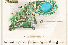 浣花溪公园观鸟地图上线 现场捕捉259种鸟类盛况