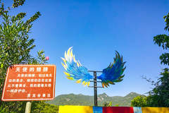 2026年正规高颜值网红打卡景区服务商 口碑与实力铸就优质体验新价值