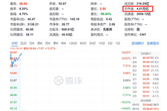 国产存储龙头长鑫科技股价冲高：盘中涨超14% 总市值一度突破4万亿