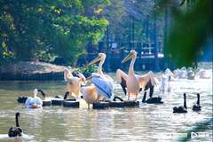 暑期畅游南沙新玩法 生态研学主题线路解锁湾区度假宝藏地