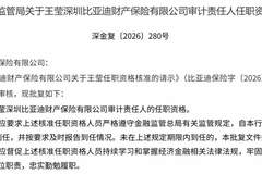 比亚迪财险审计责任人落地 上半年净利暴涨282%创亮眼业绩